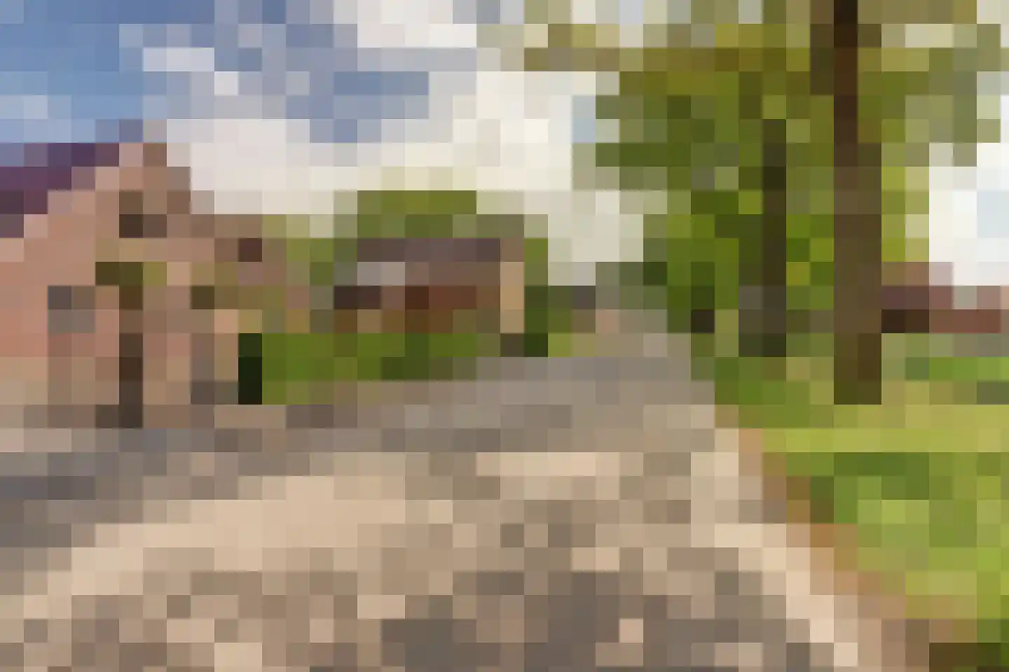 Westelijke Doorsnee NZ 110 Emmer-Compascuum thumbnail 42