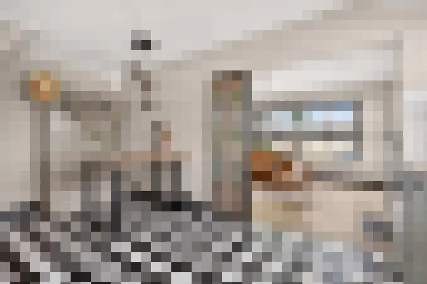 Westelijke Doorsnee NZ 60 Emmer-Compascuum thumbnail 14