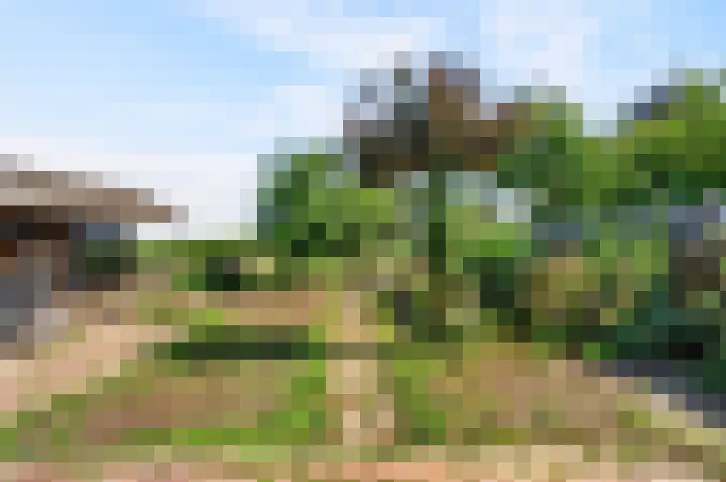 Westelijke Doorsnee NZ 60 Emmer-Compascuum thumbnail 40