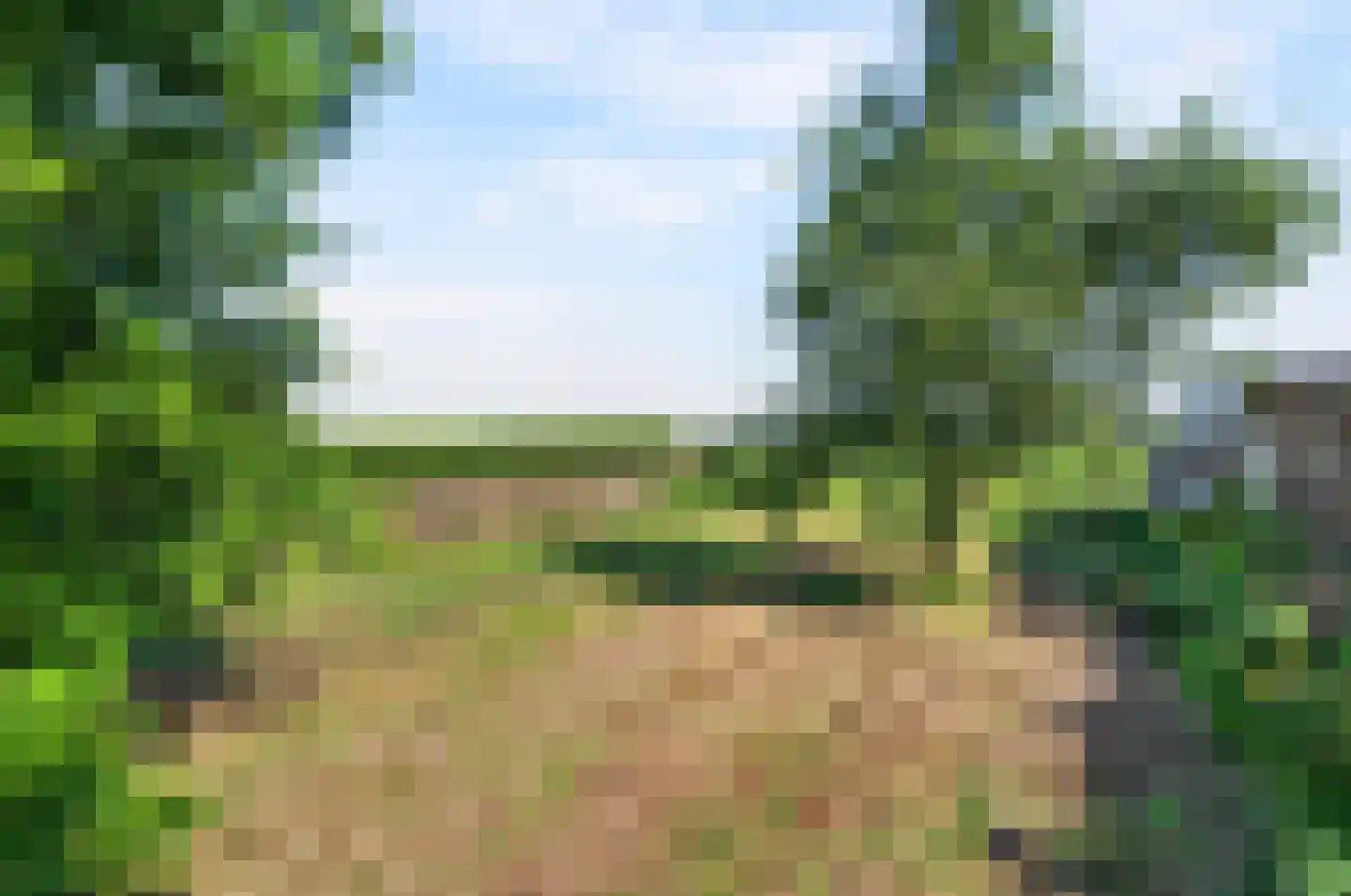 Westelijke Doorsnee NZ 60 Emmer-Compascuum thumbnail 42