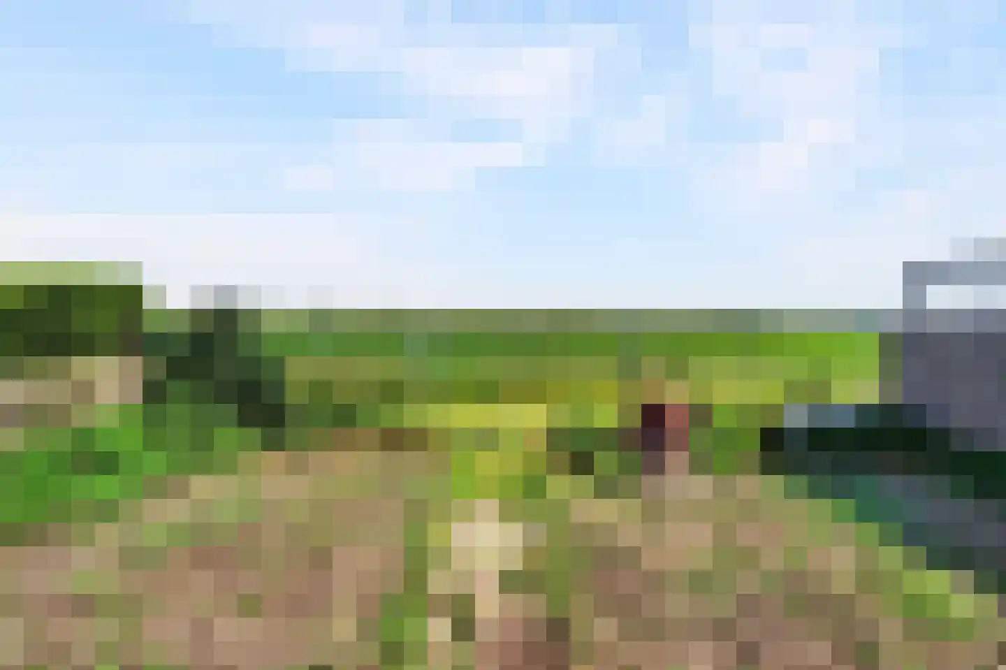 Westelijke Doorsnee NZ 60 Emmer-Compascuum thumbnail 43