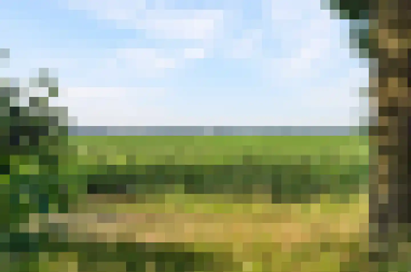 Westelijke Doorsnee NZ 60 Emmer-Compascuum thumbnail 5