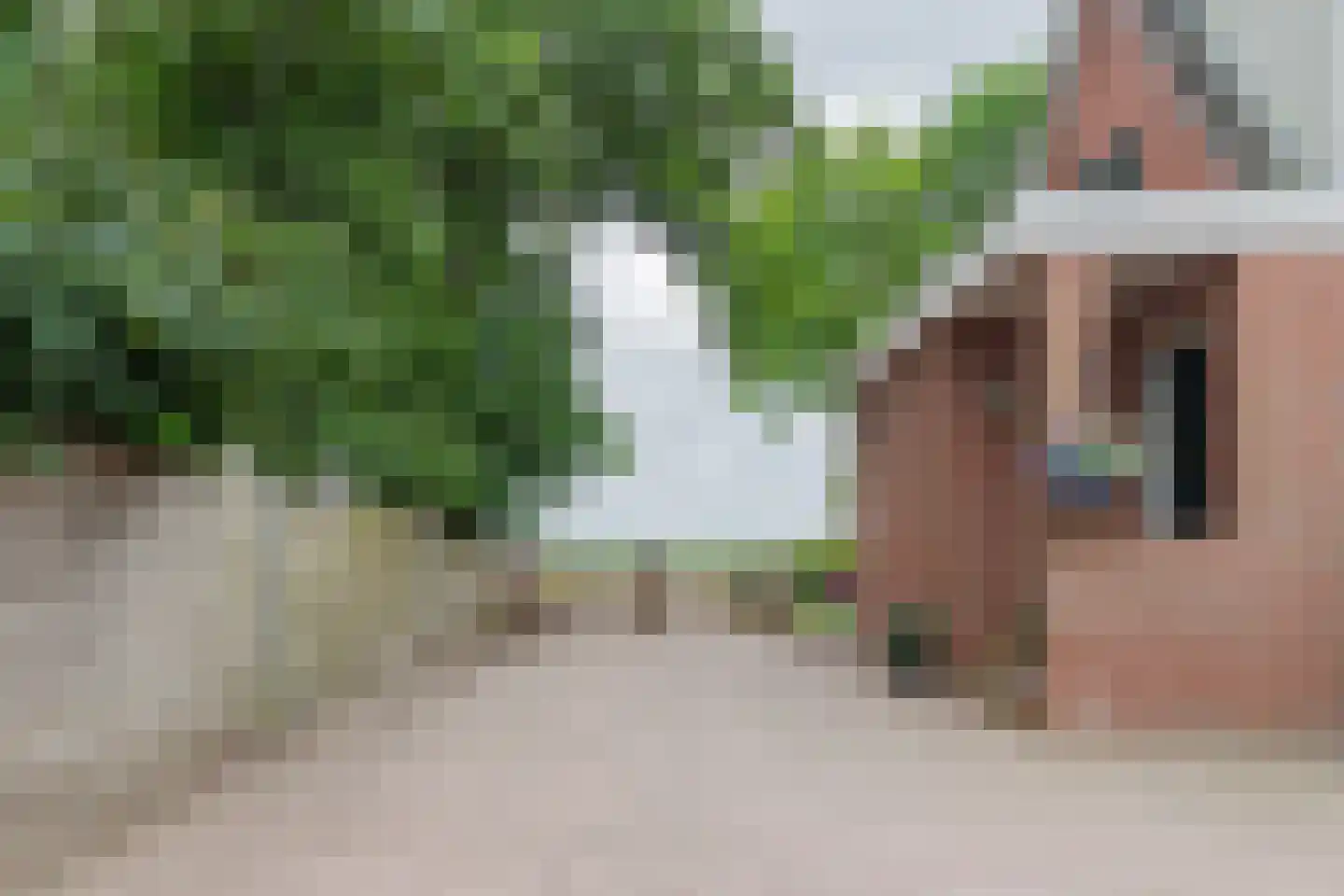 Westelijke Doorsnee NZ 61 Emmer-Compascuum thumbnail 4