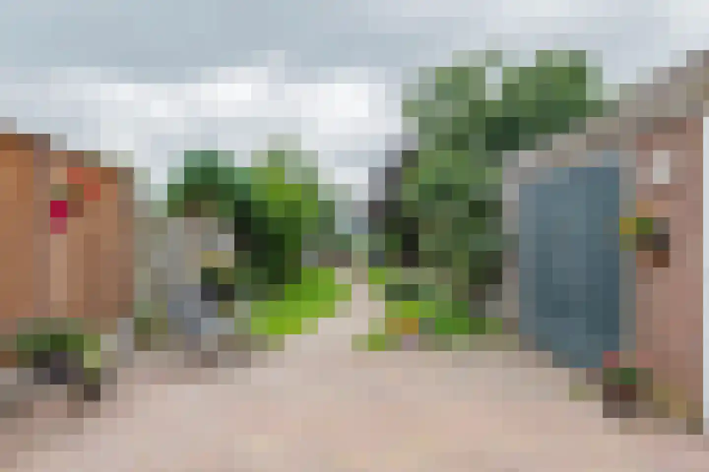 Westelijke Doorsnee NZ 61 Emmer-Compascuum thumbnail 40