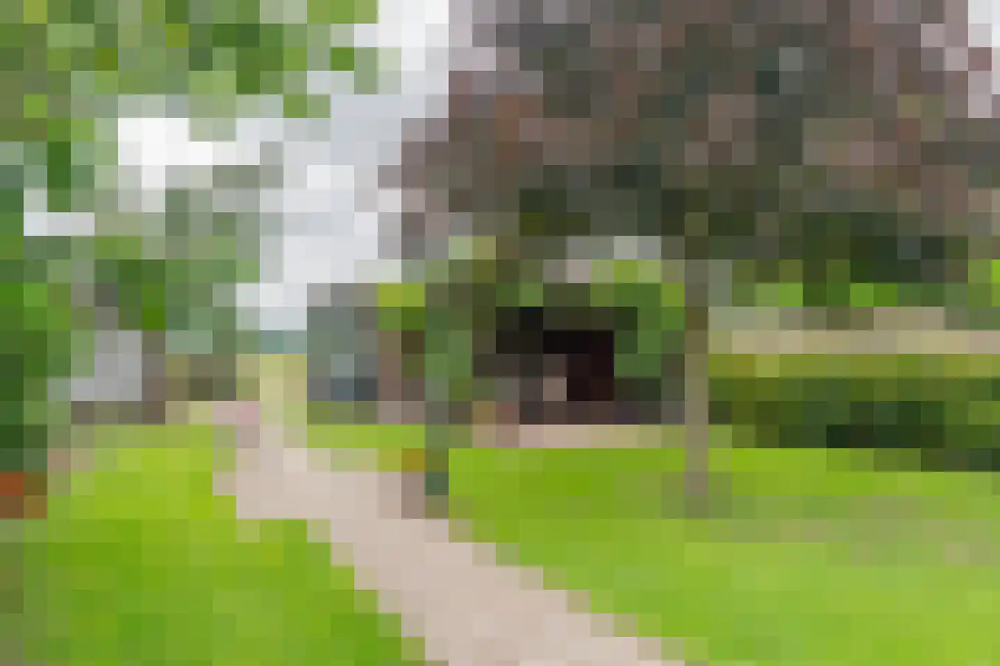 Westelijke Doorsnee NZ 61 Emmer-Compascuum thumbnail 42