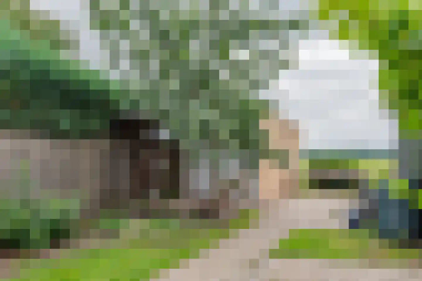 Westelijke Doorsnee NZ 61 Emmer-Compascuum thumbnail 43