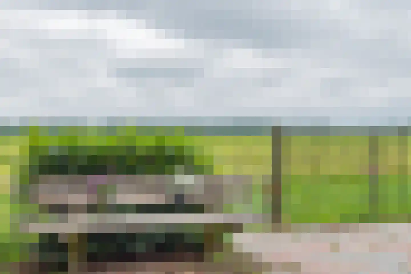 Westelijke Doorsnee NZ 61 Emmer-Compascuum thumbnail 44