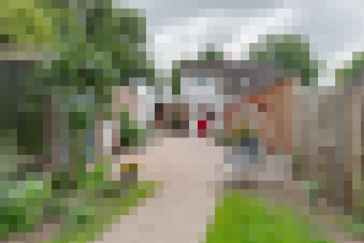Westelijke Doorsnee NZ 61 Emmer-Compascuum thumbnail 45