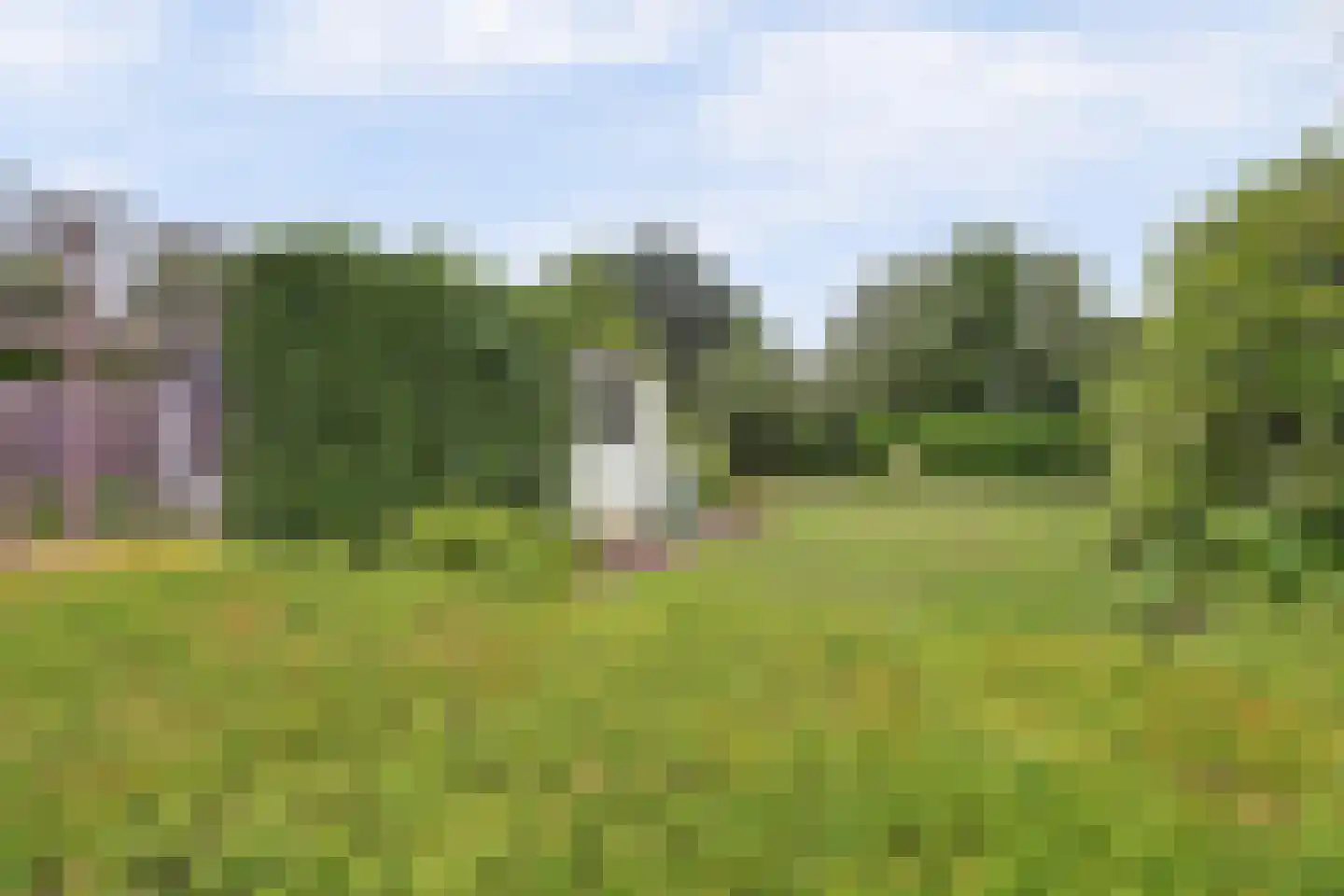 Westelijke Doorsnee NZ 67 Emmer-Compascuum thumbnail 27
