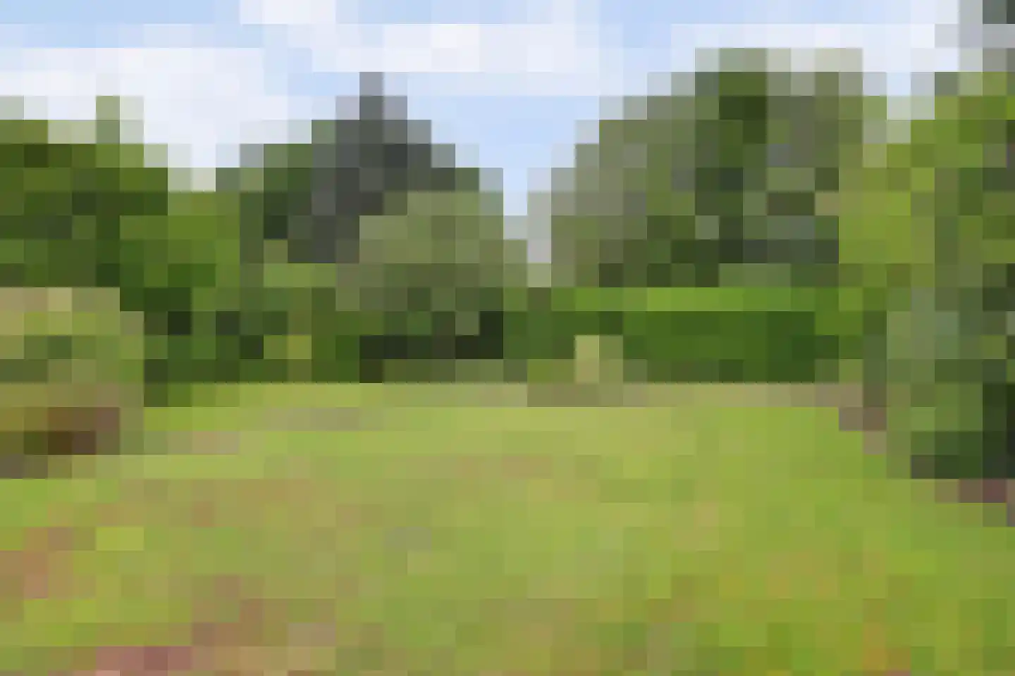 Westelijke Doorsnee NZ 67 Emmer-Compascuum thumbnail 32