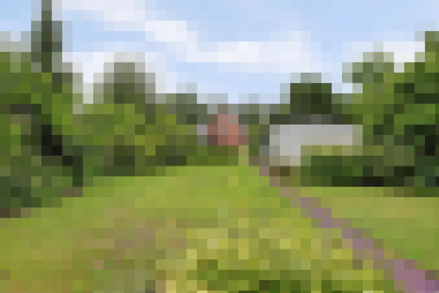 Westelijke Doorsnee NZ 67 Emmer-Compascuum thumbnail 33