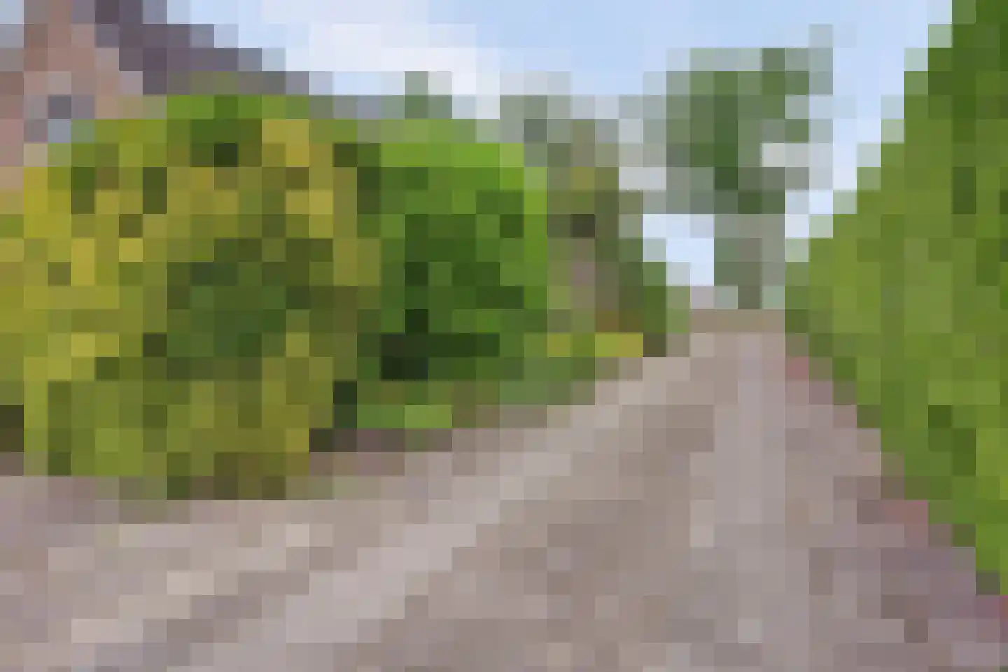 Westelijke Doorsnee NZ 67 Emmer-Compascuum thumbnail 35