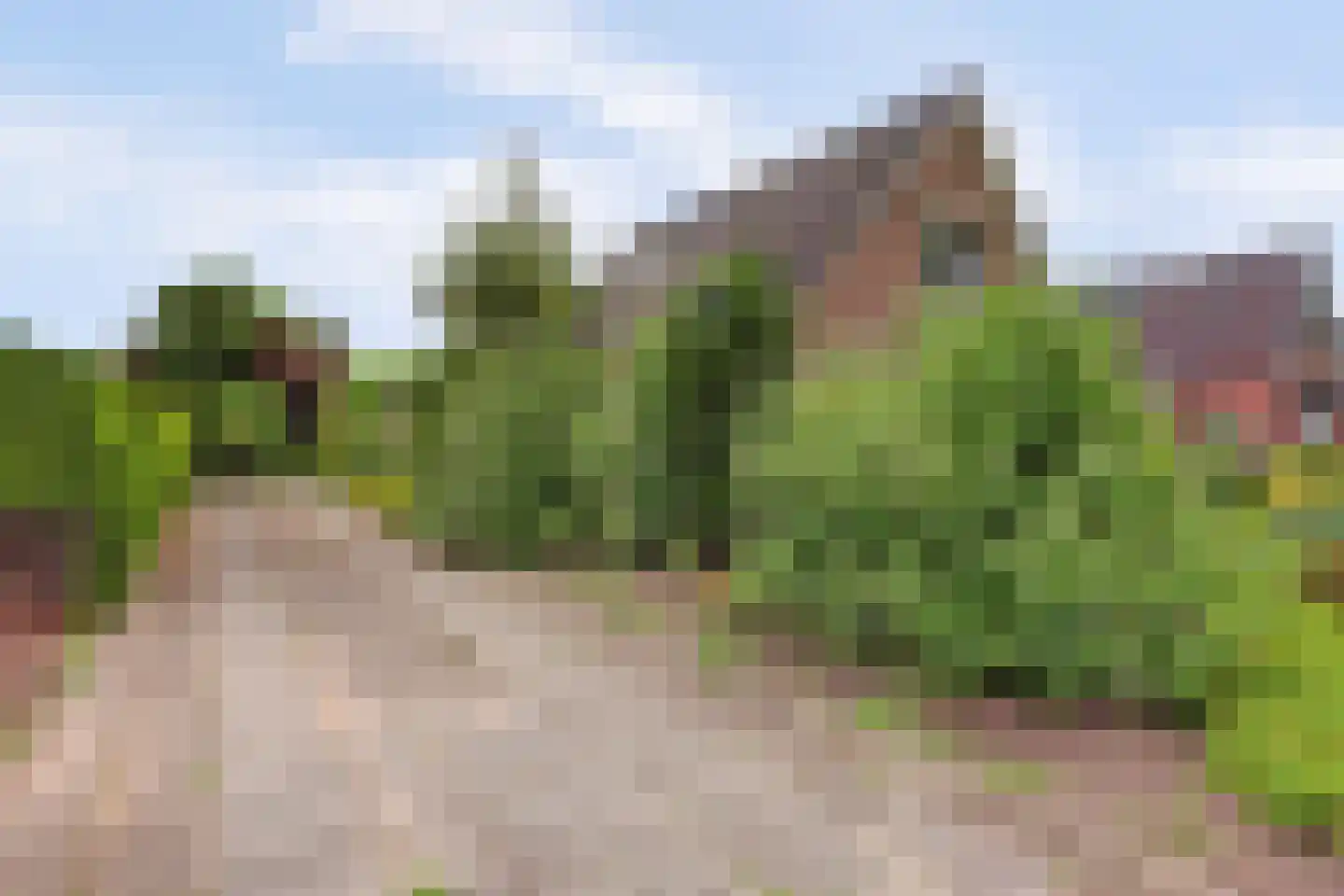 Westelijke Doorsnee NZ 67 Emmer-Compascuum thumbnail 38