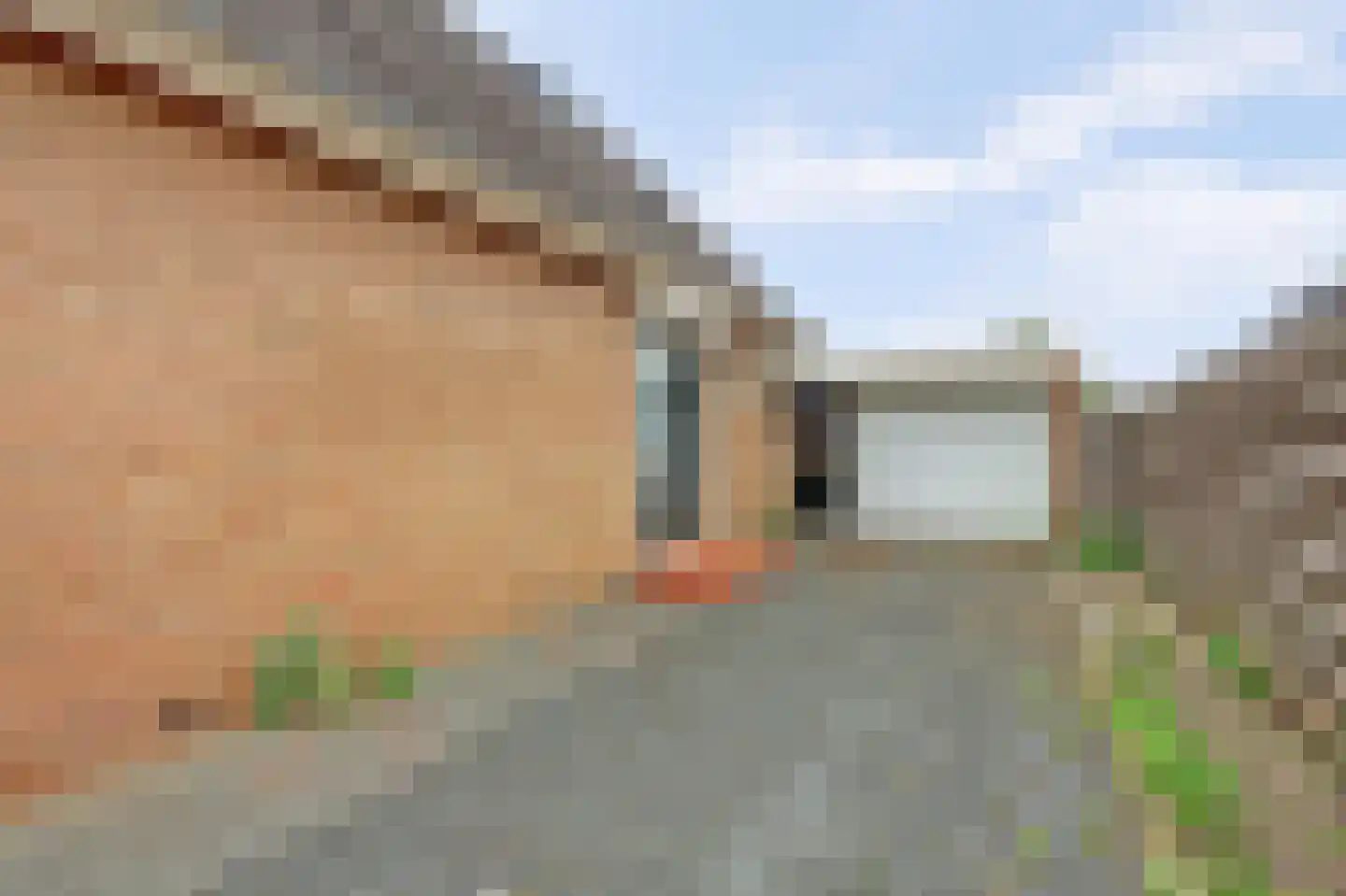 Westelijke Doorsnee NZ 67 Emmer-Compascuum thumbnail 40