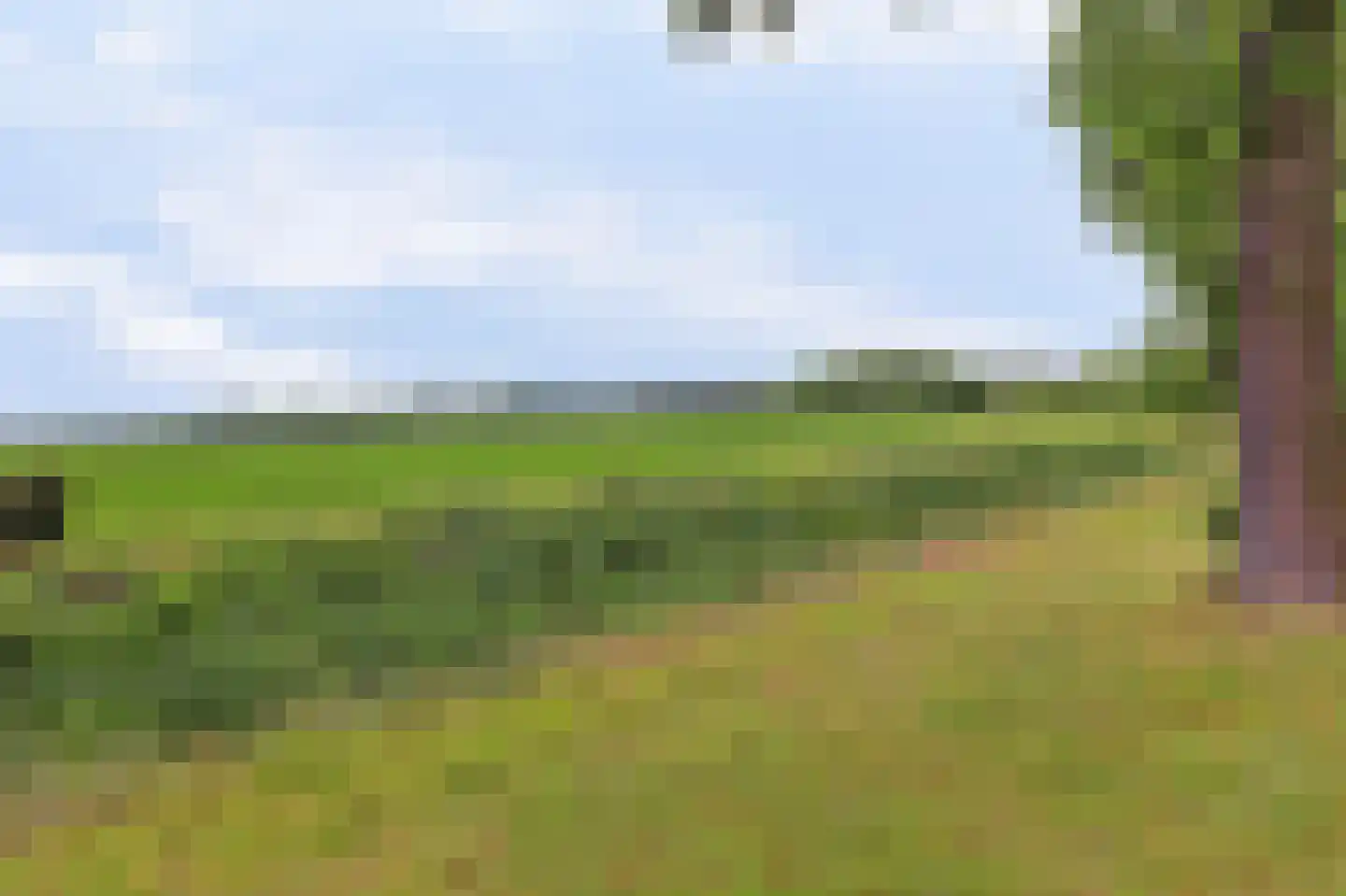 Westelijke Doorsnee NZ 67 Emmer-Compascuum thumbnail 42