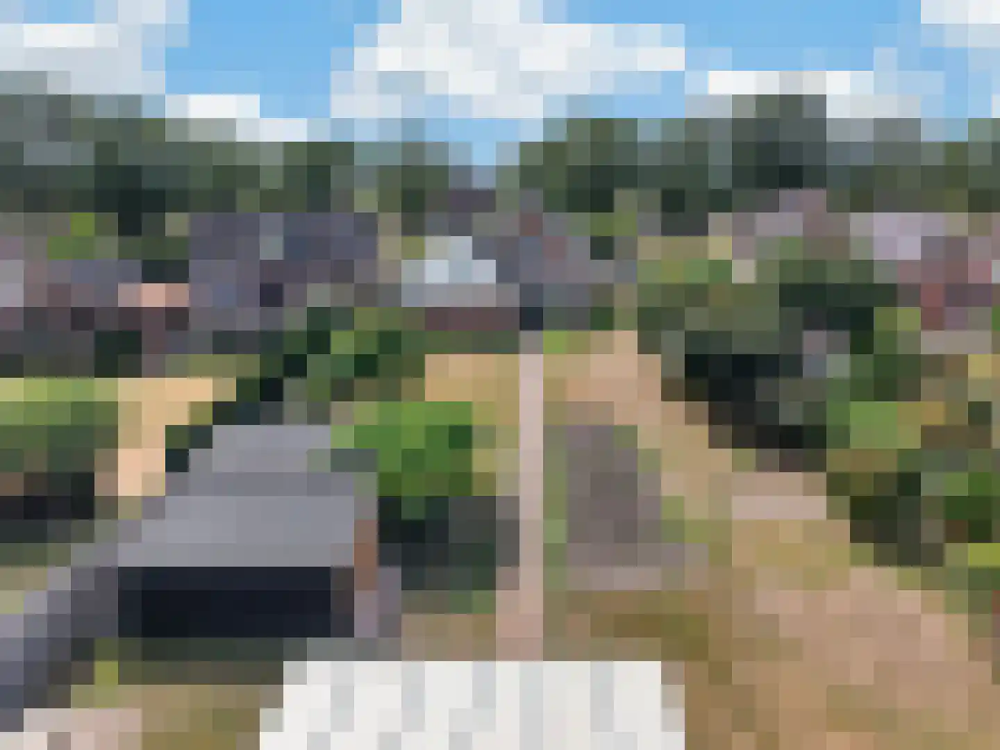Westelijke Doorsnee NZ 70 Emmer-Compascuum thumbnail 58