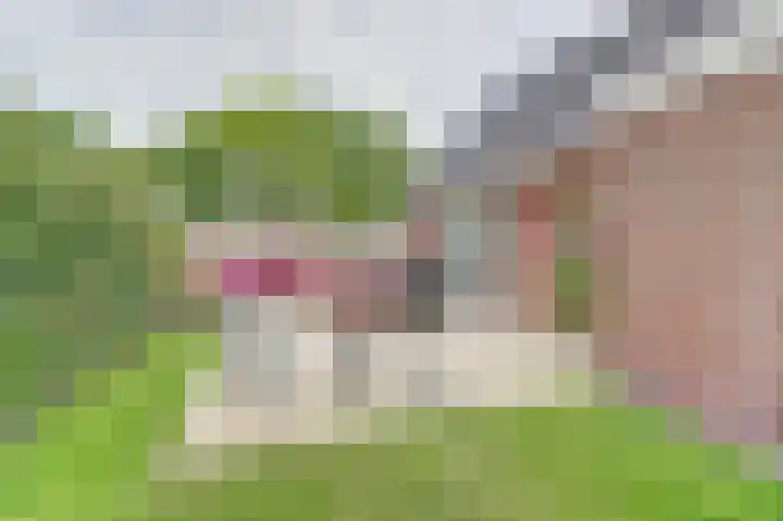 Westelijke Doorsnee ZZ 41 Emmer-Compascuum thumbnail 27