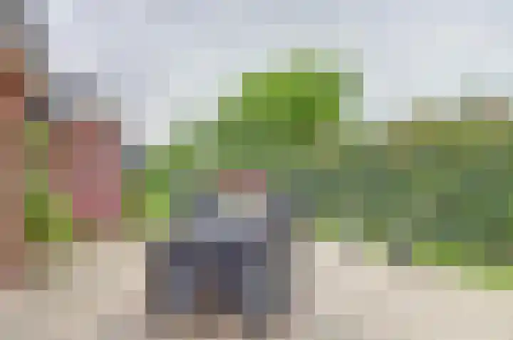 Westelijke Doorsnee ZZ 41 Emmer-Compascuum thumbnail 28