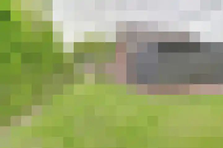 Westelijke Doorsnee ZZ 41 Emmer-Compascuum thumbnail 30