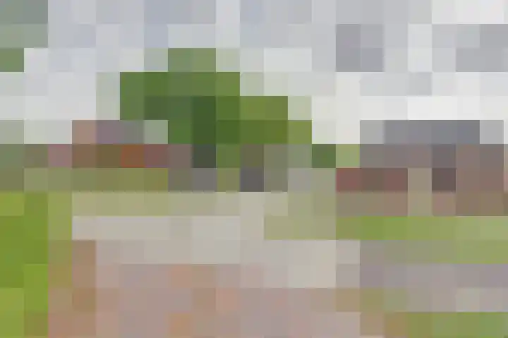 Westelijke Doorsnee ZZ 41 Emmer-Compascuum thumbnail 33