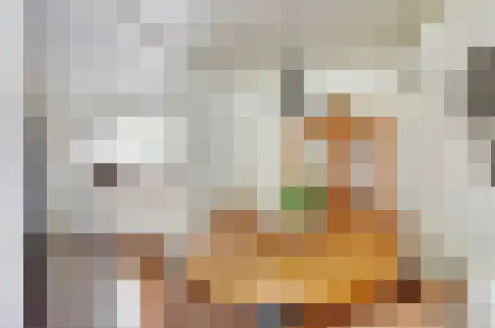Westelijke Doorsnee ZZ 41 Emmer-Compascuum thumbnail 8