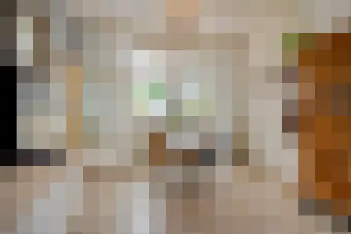 Westelijke Kanaalweg 12 Hansweert thumbnail 10