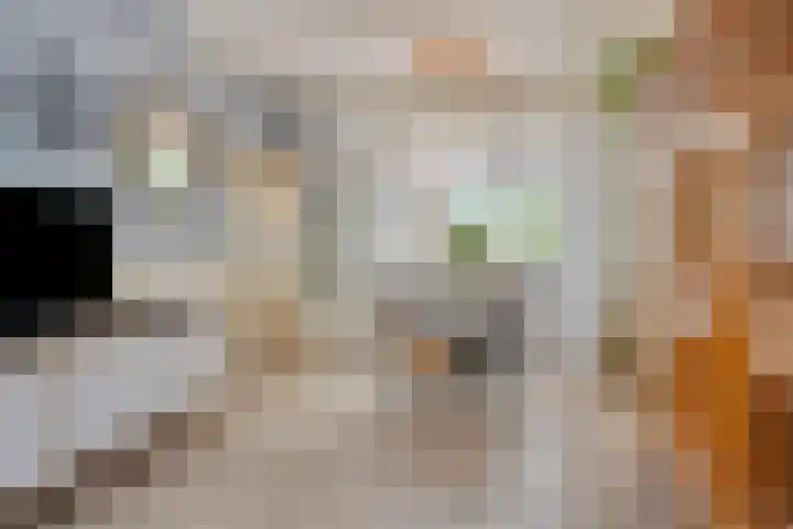 Westelijke Kanaalweg 12 Hansweert thumbnail 11