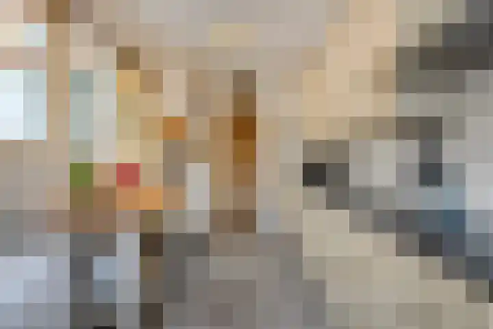 Westelijke Kanaalweg 12 Hansweert thumbnail 12