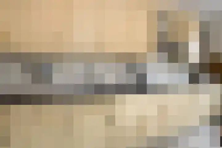 Westelijke Kanaalweg 12 Hansweert thumbnail 13