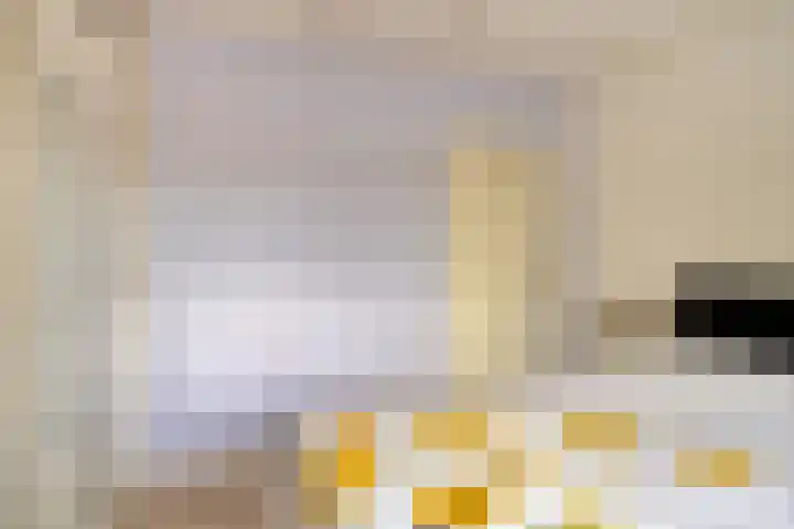 Westelijke Kanaalweg 12 Hansweert thumbnail 16