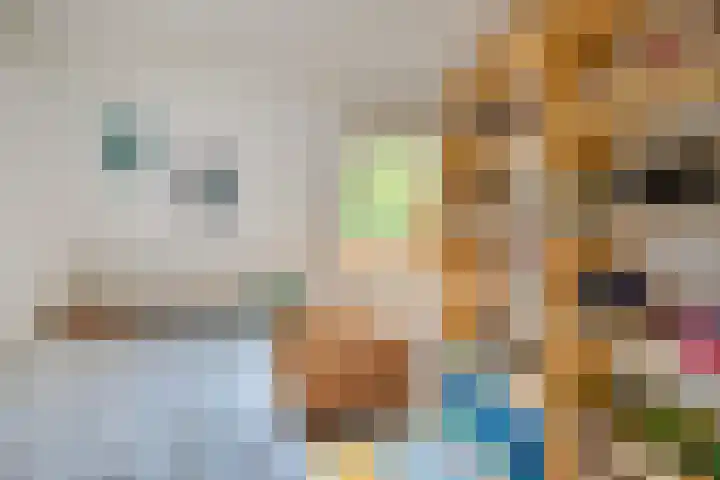 Westelijke Kanaalweg 12 Hansweert thumbnail 19