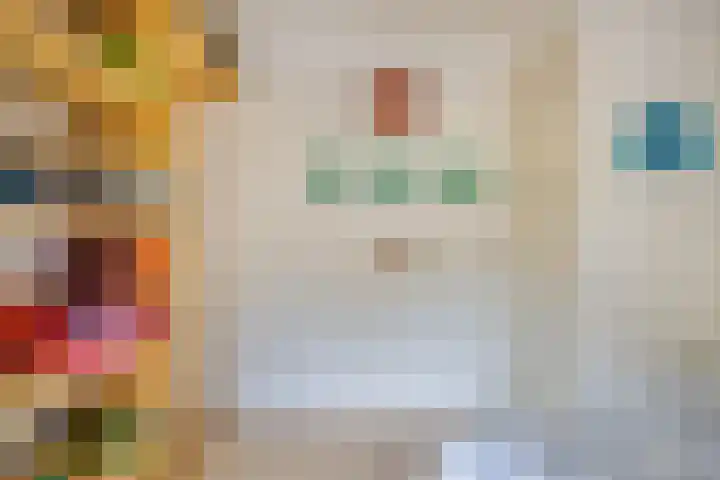 Westelijke Kanaalweg 12 Hansweert thumbnail 20