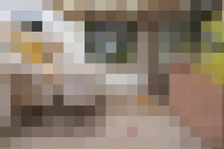 Westelijke Kanaalweg 12 Hansweert thumbnail 23
