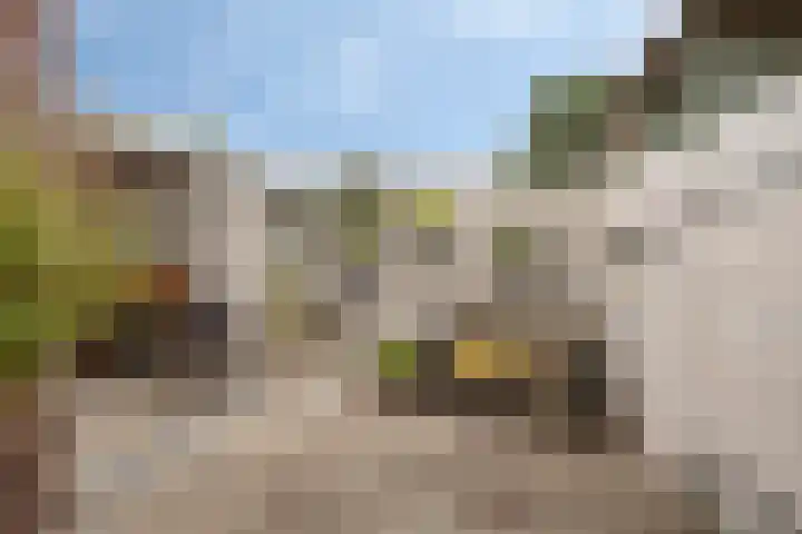 Westelijke Kanaalweg 12 Hansweert thumbnail 24