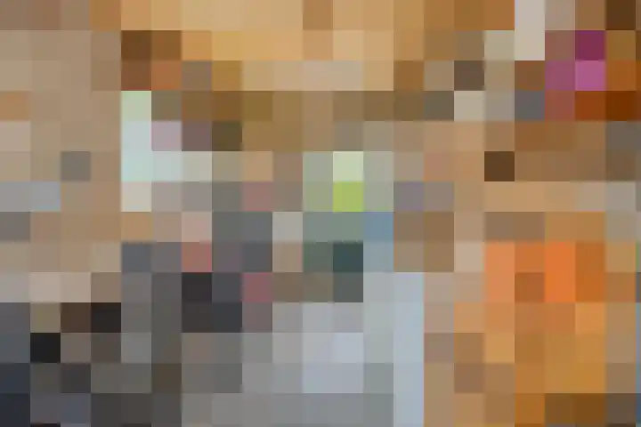 Westelijke Kanaalweg 12 Hansweert thumbnail 32