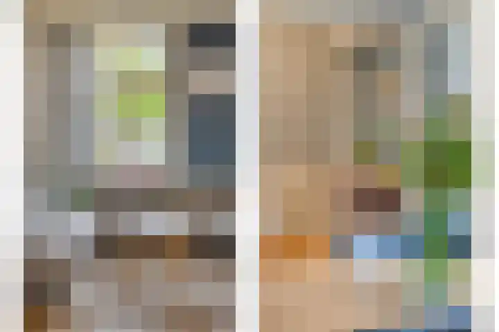 Westelijke Kanaalweg 12 Hansweert thumbnail 7