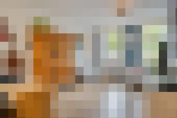 Westelijke Kanaalweg 12 Hansweert thumbnail 8