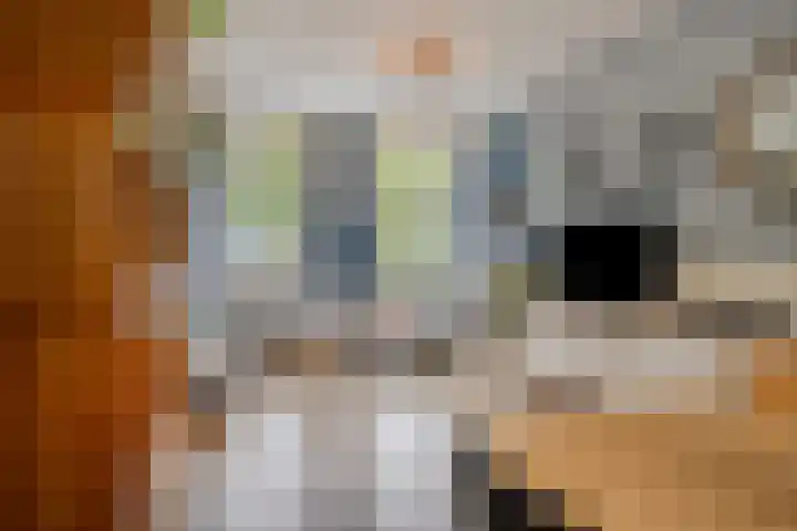 Westelijke Kanaalweg 12 Hansweert thumbnail 9
