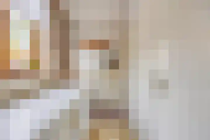 Westelijke Kanaalweg 13 Wemeldinge thumbnail 12