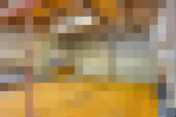 Westelijke Kanaalweg 13 Wemeldinge thumbnail 14