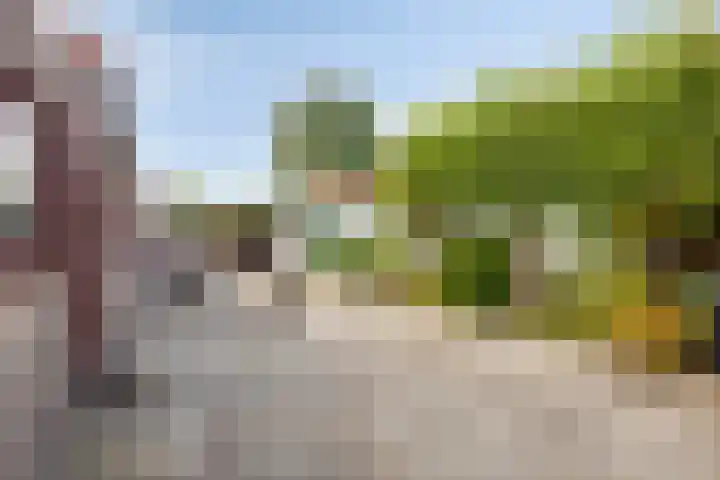 Westelijke Kanaalweg 13 Wemeldinge thumbnail 25