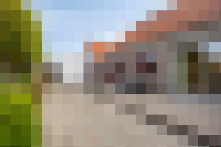 Westelijke Kanaalweg 13 Wemeldinge thumbnail 26