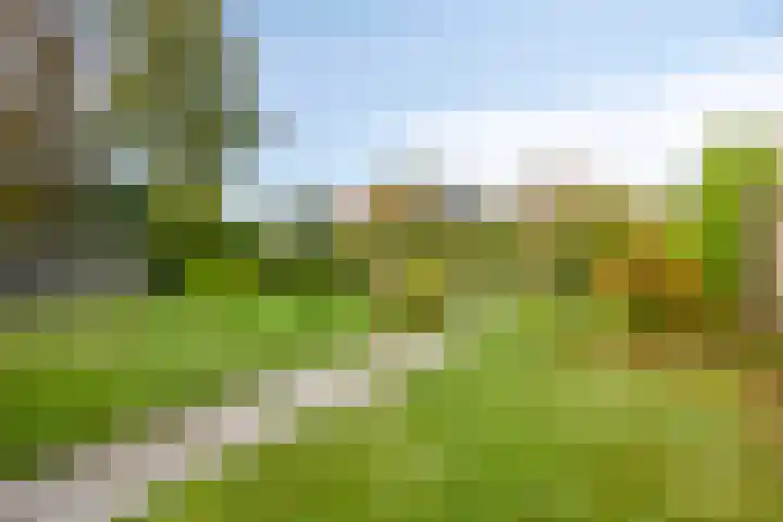 Westelijke Kanaalweg 13 Wemeldinge thumbnail 28