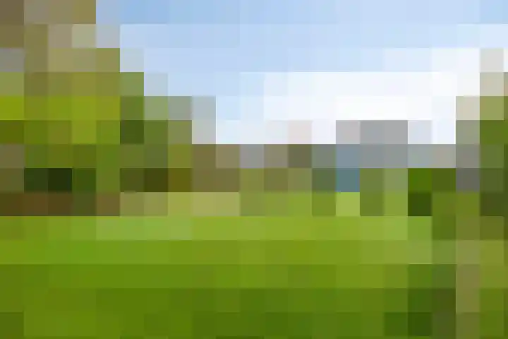 Westelijke Kanaalweg 13 Wemeldinge thumbnail 29