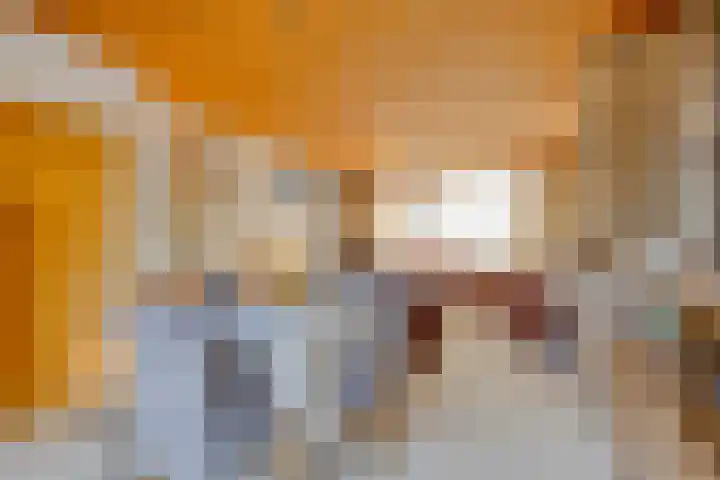 Westelijke Kanaalweg 13 Wemeldinge thumbnail 6