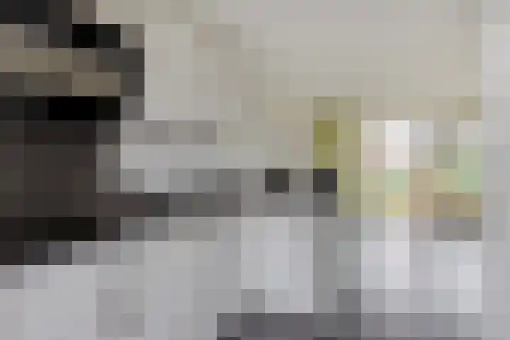 Westelijke Kanaalweg 31 C Wemeldinge thumbnail 11