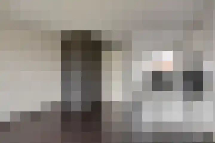 Westelijke Kanaalweg 31 C Wemeldinge thumbnail 12