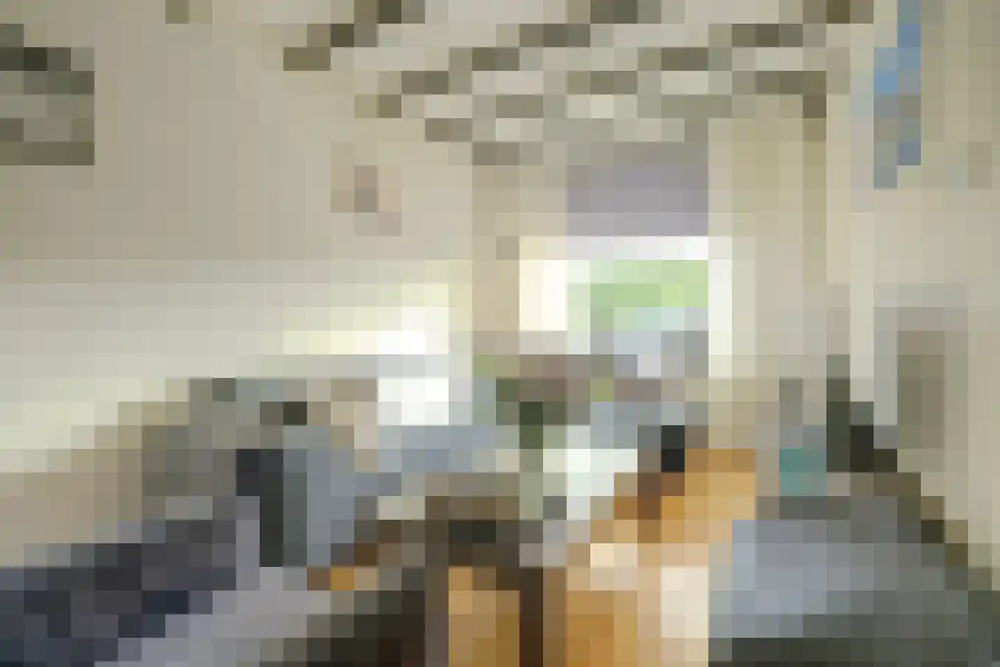 Westelijke Kanaalweg 37 Wemeldinge thumbnail 10