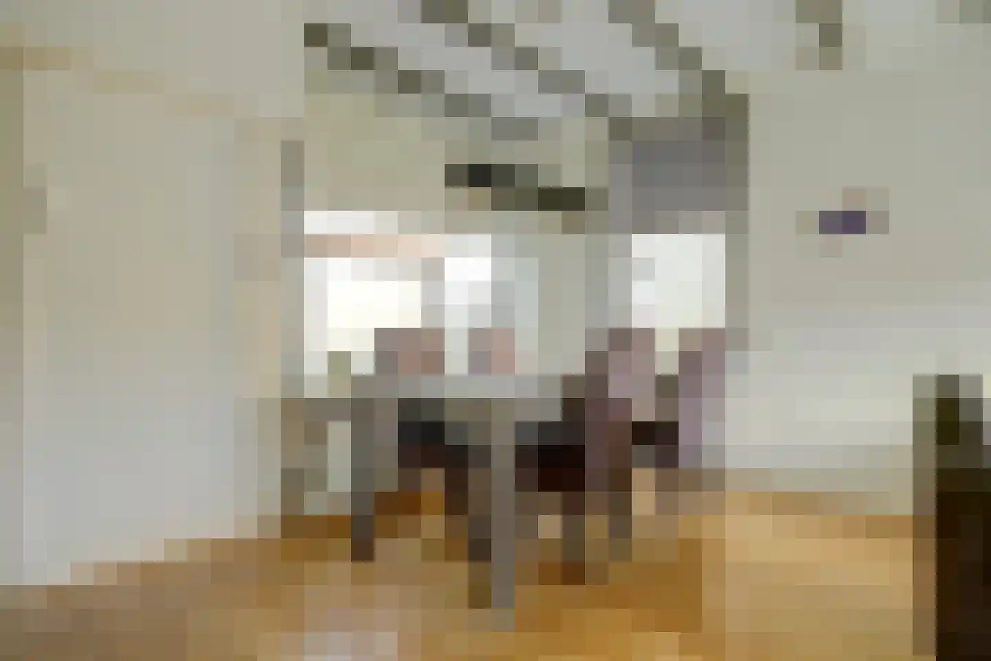 Westelijke Kanaalweg 37 Wemeldinge thumbnail 11