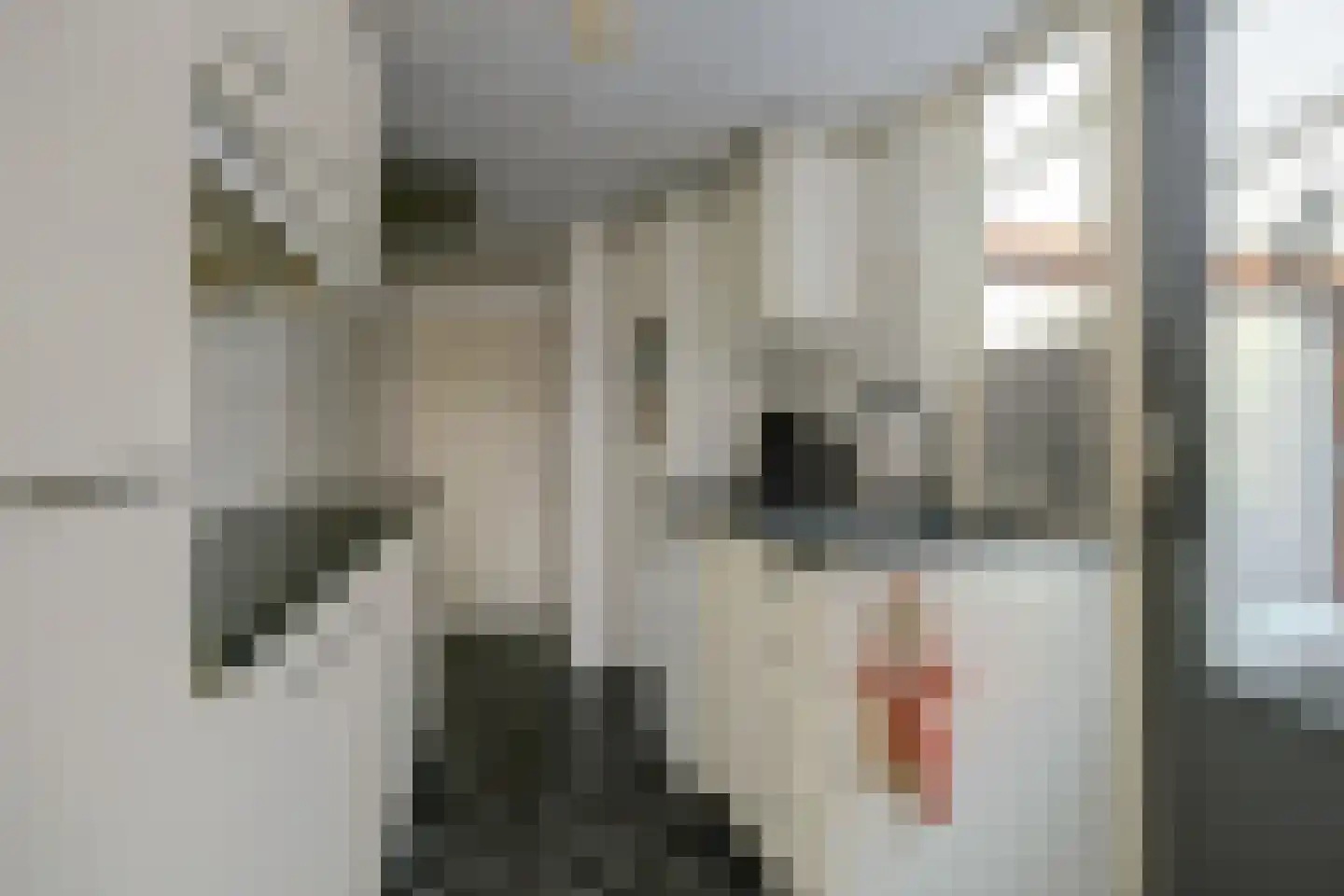 Westelijke Kanaalweg 37 Wemeldinge thumbnail 13